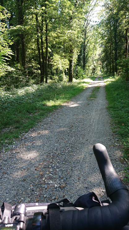 Camino llegano a Bellinzona