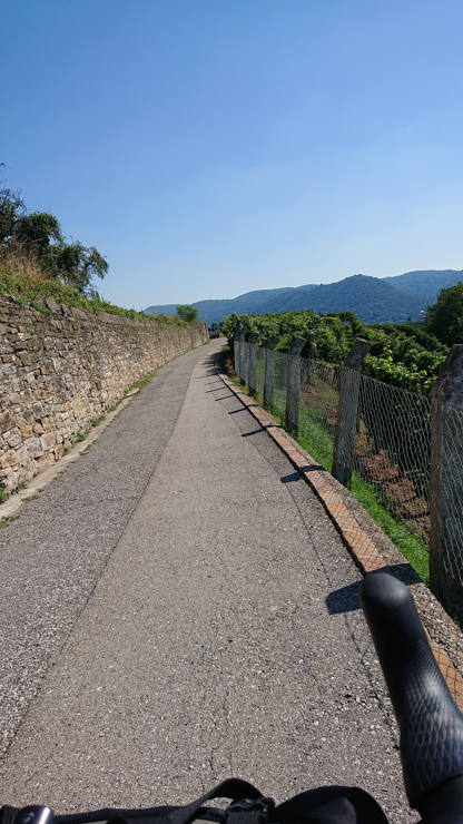 Viñedos semi toscanos cerca a Chiasso