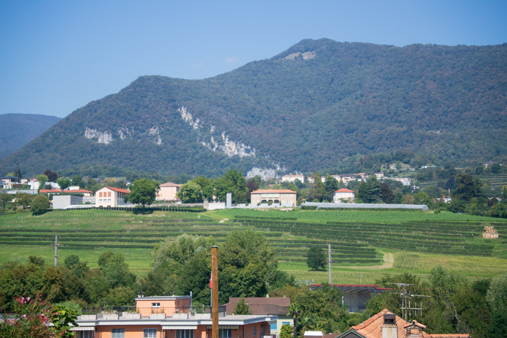 Último viñedo de Suiza